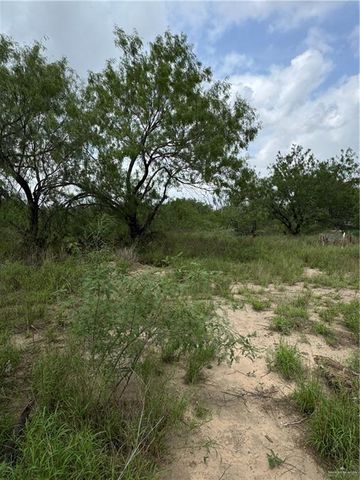 11235 N Moorefield Road, Mission, TX 78574