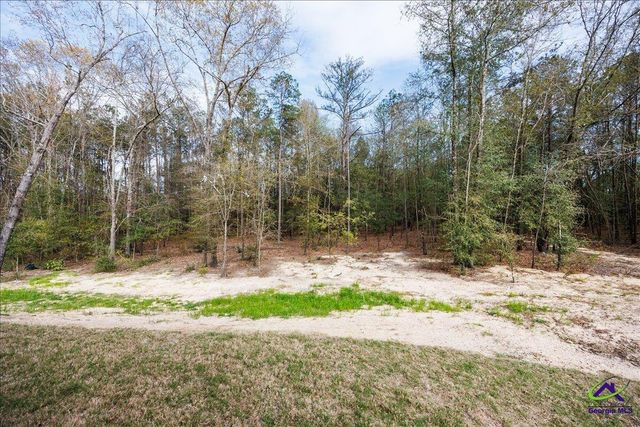 248 Dream Catcher Drive, Lizella, GA 31052