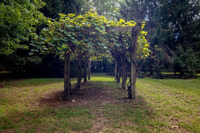 1442 W Tyler Road, Hart, MI 49420