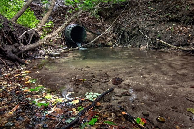 1442 W Tyler Road, Hart, MI 49420