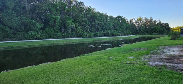 13539 STANSIL AVENUE, Odessa, FL 33556