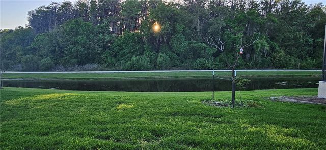 13539 STANSIL AVENUE, Odessa, FL 33556