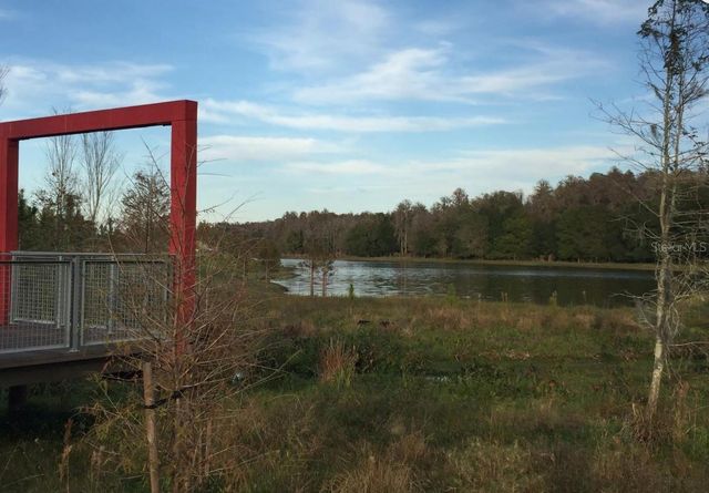 13539 STANSIL AVENUE, Odessa, FL 33556