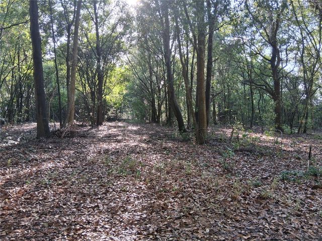 16451 FORREST LANE, Groveland, FL 34736