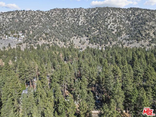 1197 Oriole Road, Wrightwood, CA 92397