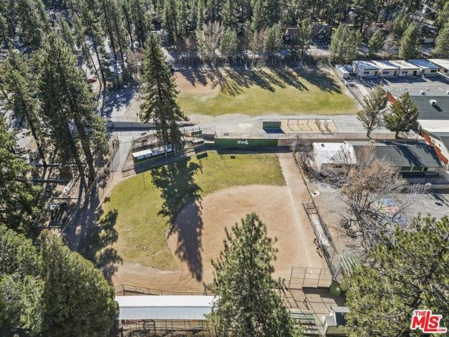 1197 Oriole Road, Wrightwood, CA 92397