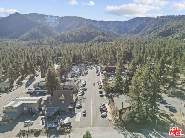 1197 Oriole Road, Wrightwood, CA 92397