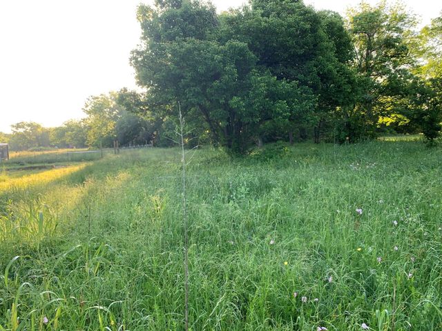 501 Fm 1227, Navasota, TX 77868