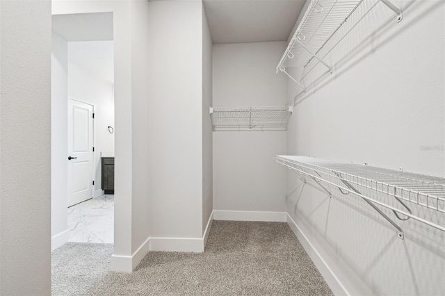 5126 SEA BRANCH AVENUE, Apollo Beach, FL 33572