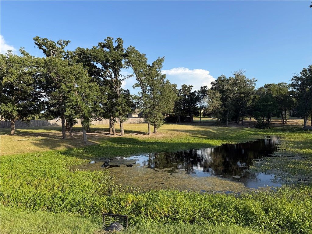 9901 Hunters Run, College Station, TX 77845 — exterior