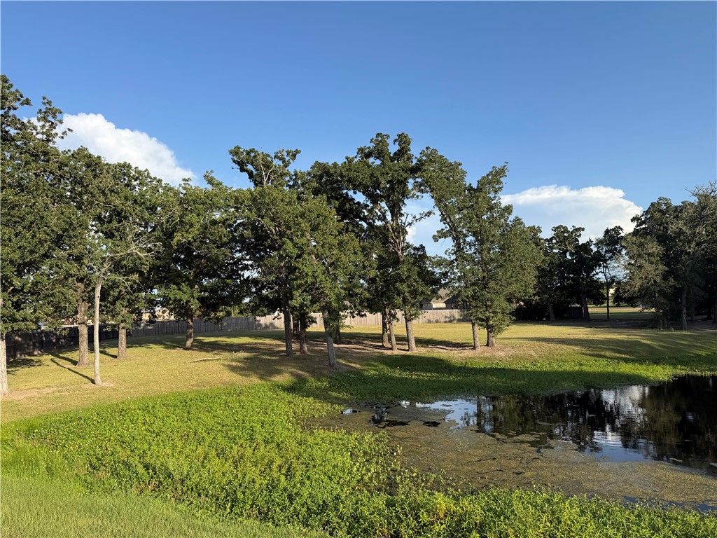 9901 Hunters Run, College Station, TX 77845 — photo 2
