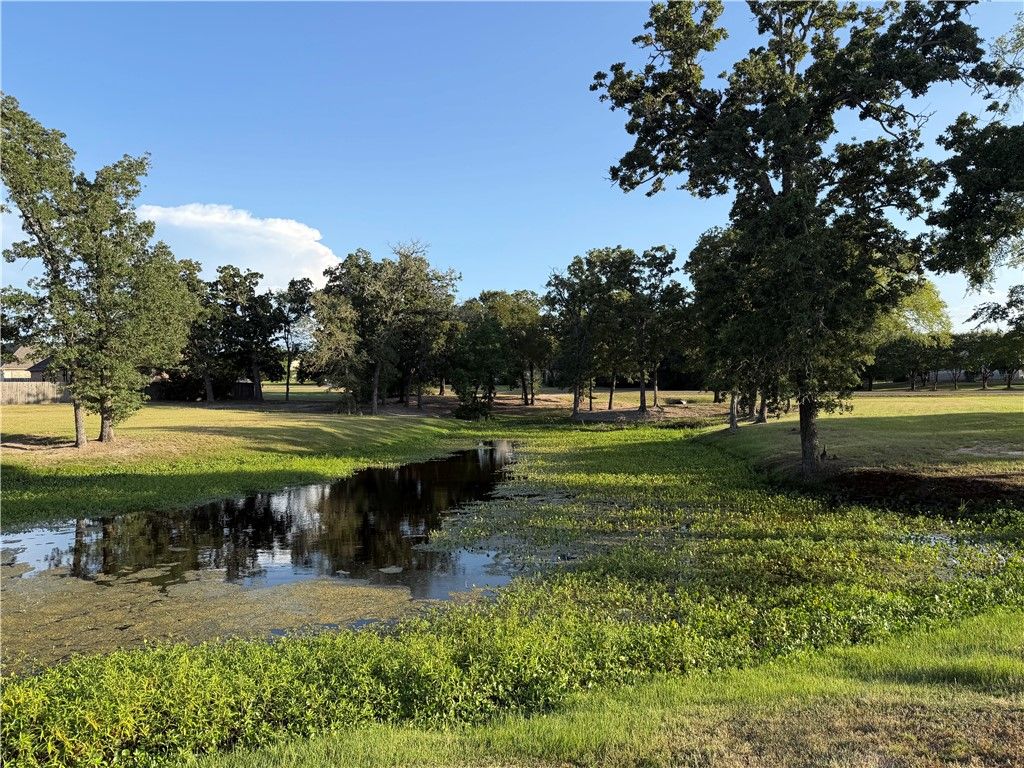 9901 Hunters Run, College Station, TX 77845 — photo 3