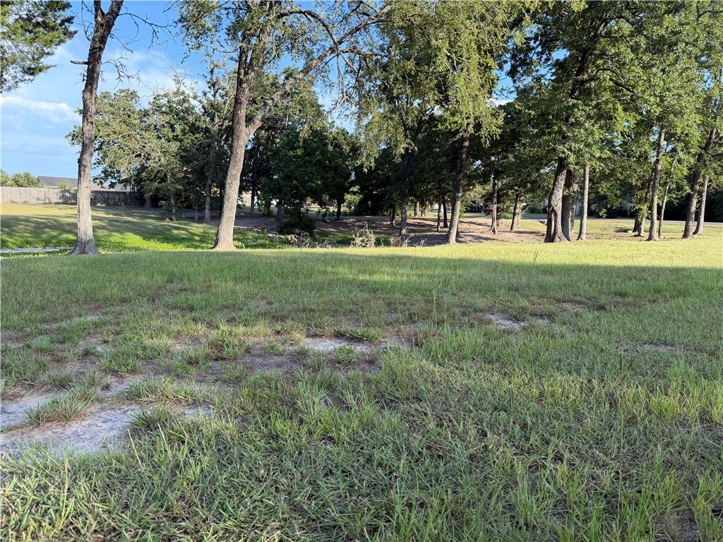 9901 Hunters Run, College Station, TX 77845 — photo 4