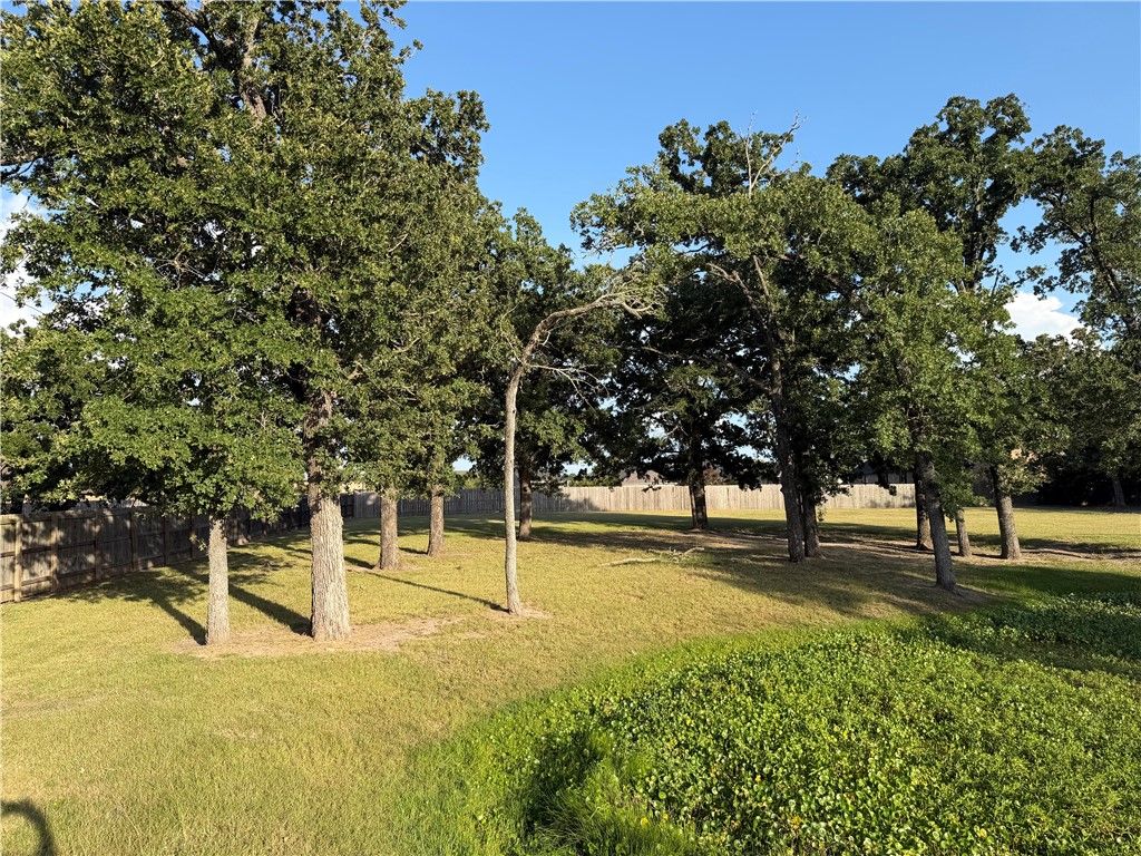 9901 Hunters Run, College Station, TX 77845 — photo 5