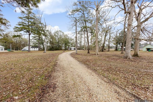 28080 Mcarthur Dr, Livingston, LA 70754