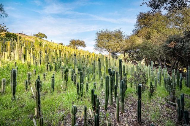 11782 Betsworth Road, Valley Center, CA 92082