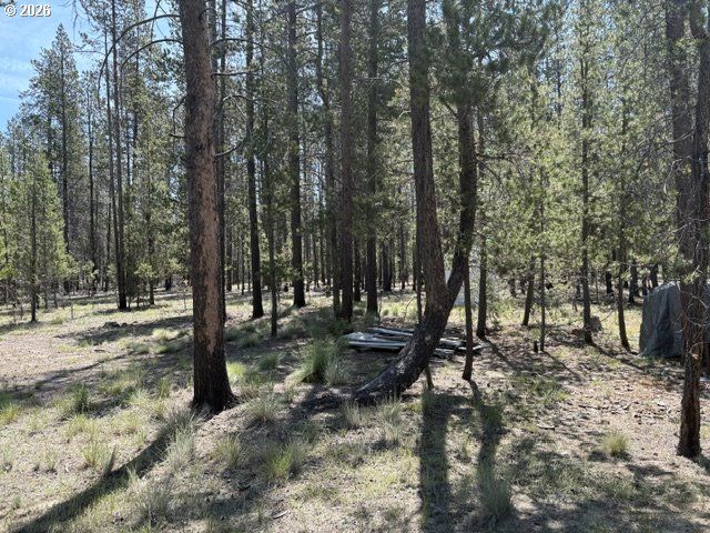 149935 KURTZ Rd, La Pine, OR 97739