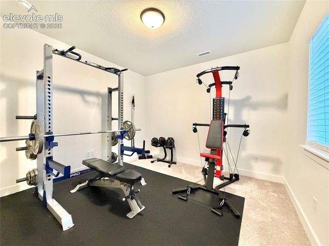 8430 William Downing Drive, Colorado Springs, CO 80908