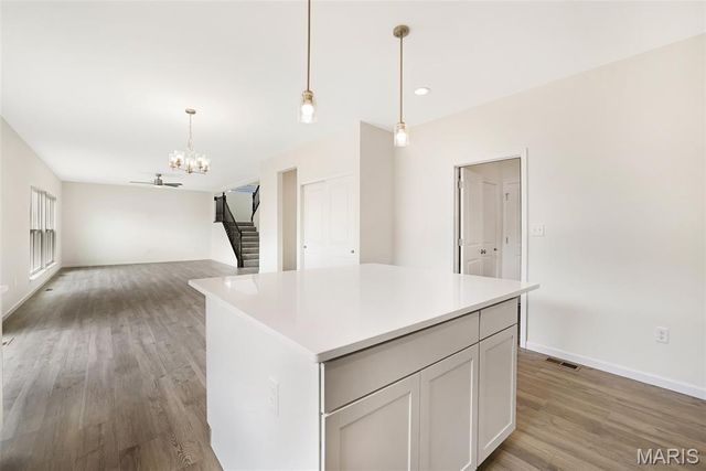230 Windmill View Drive, O'fallon, MO 63385