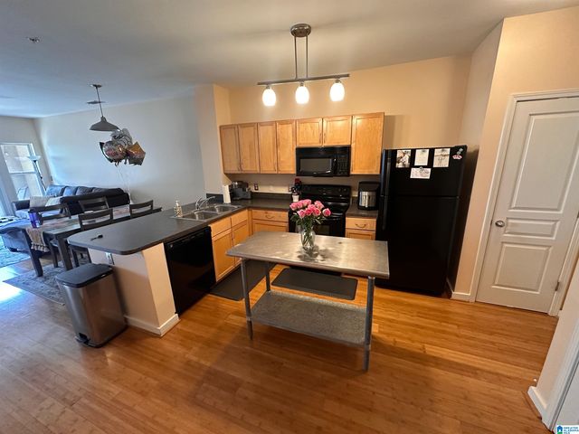 2020 5th Ave S Apt 340, Birmingham, AL 35233