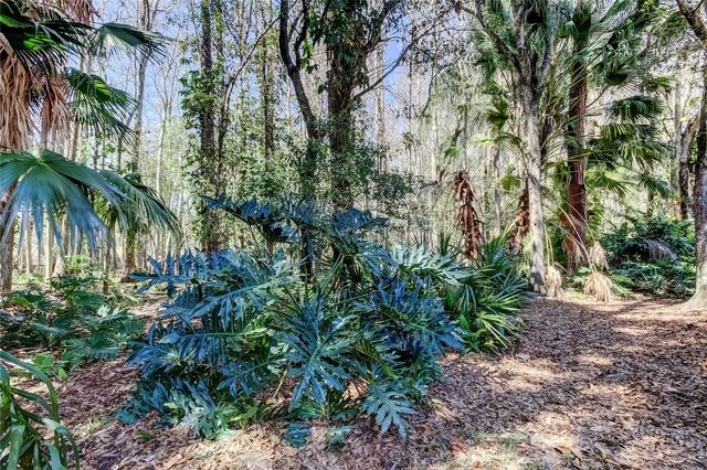 3020 WINDMOOR DRIVE, Palm Harbor, FL 34685