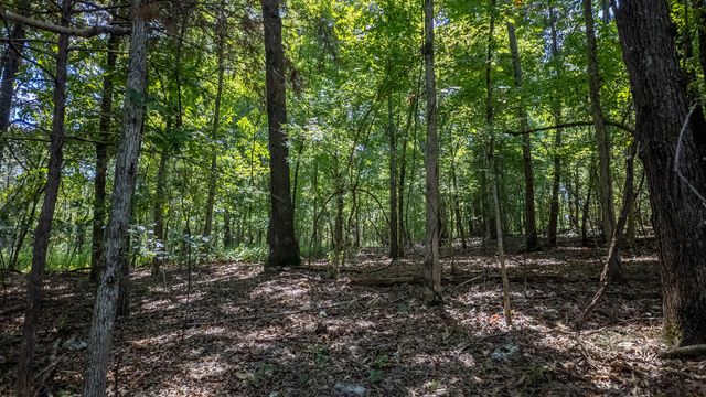 Lot 10 Riverbend Road, Mammoth Spring, AR 72554