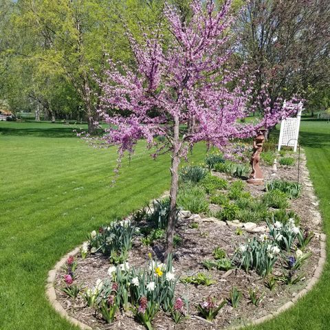 4230 Arboretum Drive NW, Rochester, MN 55901