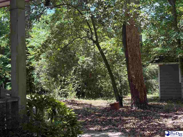 306 Creek Dr, Quinby, SC 29506