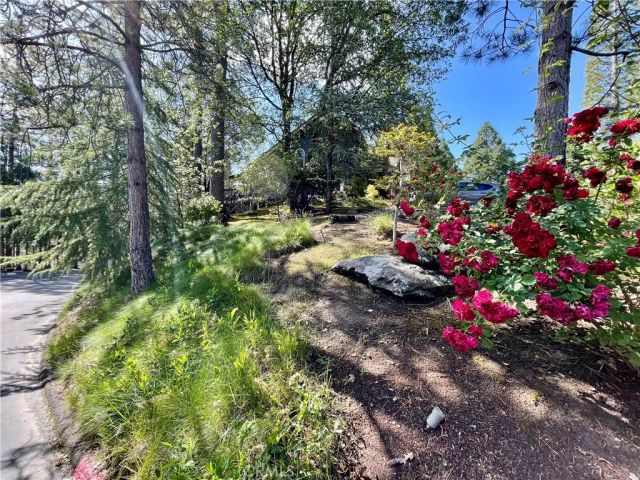 50852 Smoke Tree, Bass Lake, CA 93604