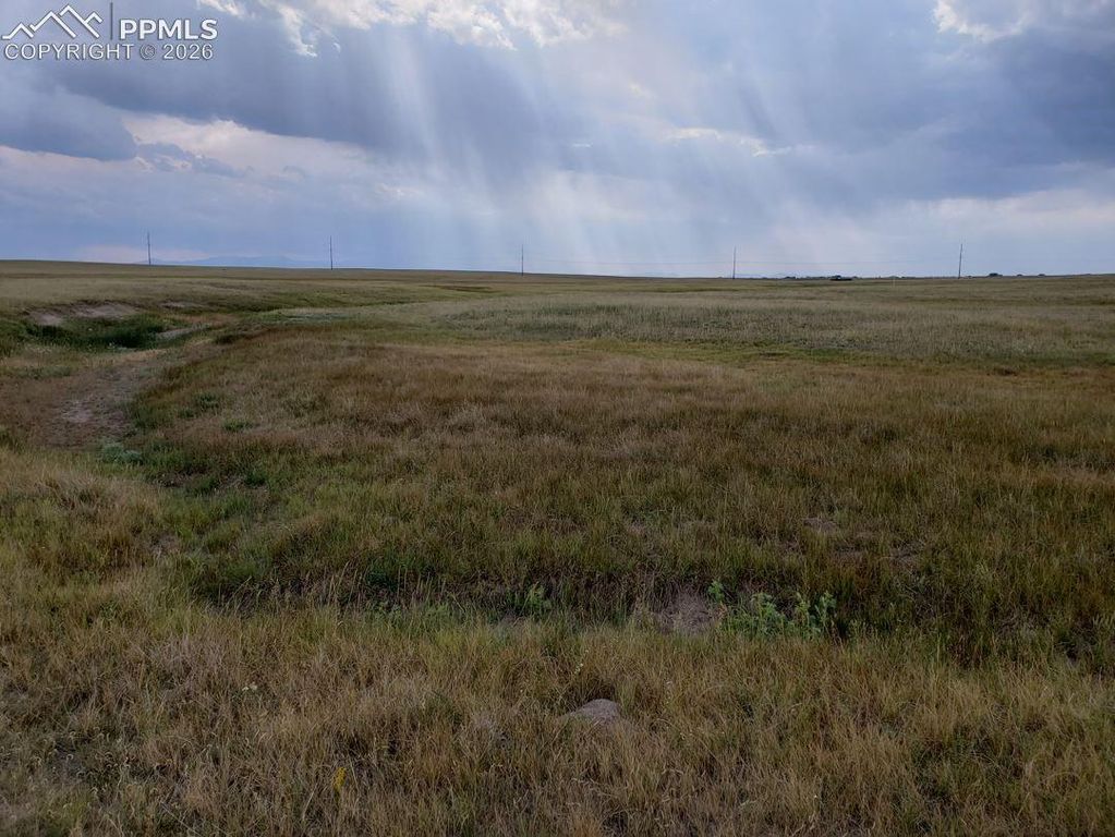 8155 Cowboy Ranch View, Falcon, CO 80831 — exterior