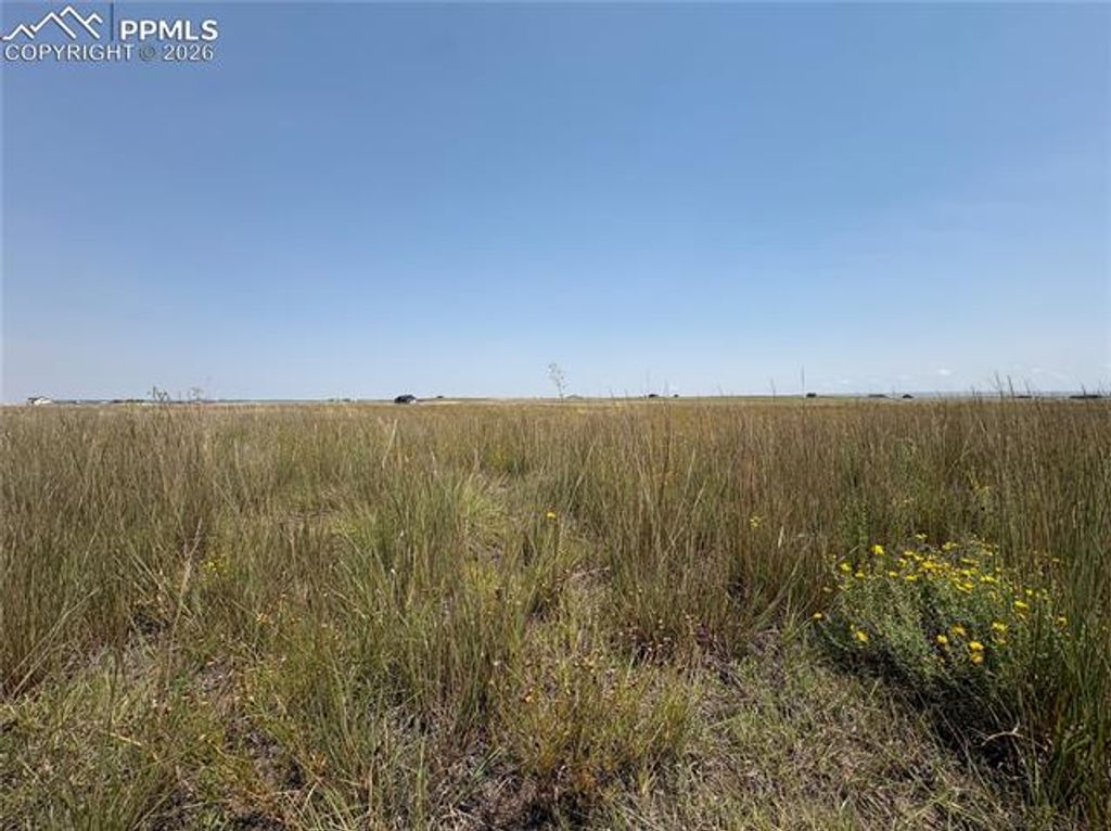 8155 Cowboy Ranch View, Falcon, CO 80831 — photo 4