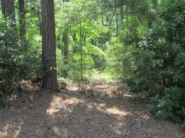 337 Noel, Livingston, TX 77351