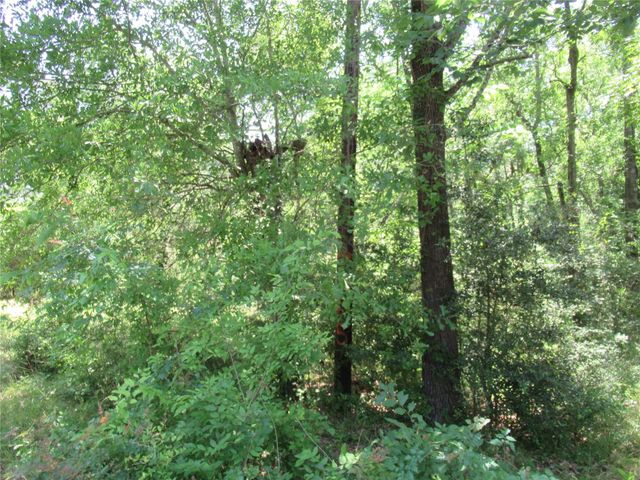 337 Noel, Livingston, TX 77351