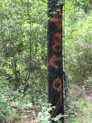 337 Noel, Livingston, TX 77351