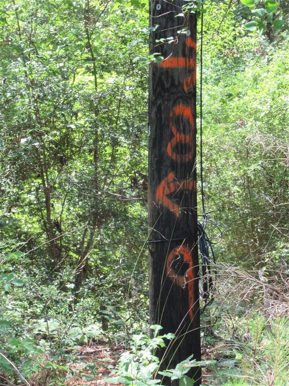 337 Noel, Livingston, TX 77351