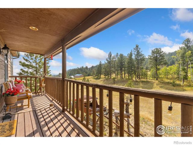 98 Deadhorse Mountain Court, Livermore, CO 80536