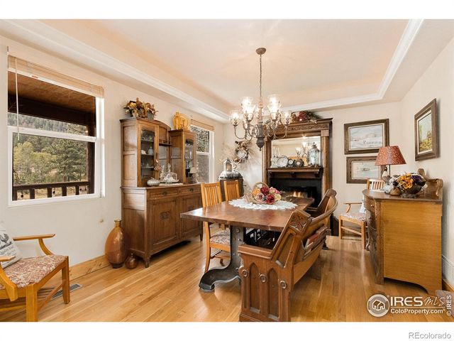 98 Deadhorse Mountain Court, Livermore, CO 80536