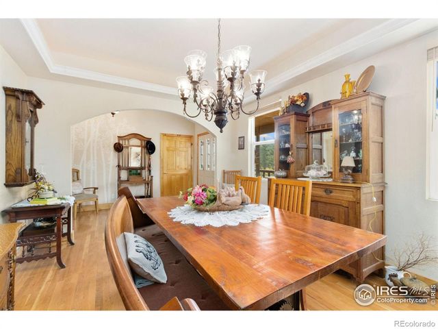 98 Deadhorse Mountain Court, Livermore, CO 80536