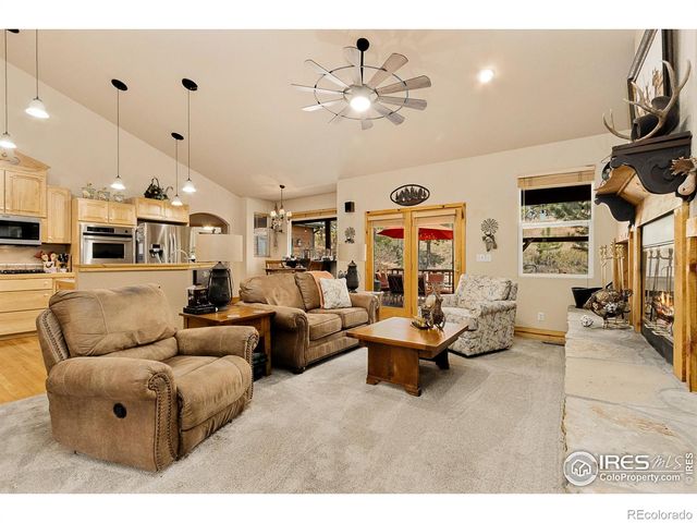 98 Deadhorse Mountain Court, Livermore, CO 80536