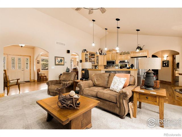 98 Deadhorse Mountain Court, Livermore, CO 80536