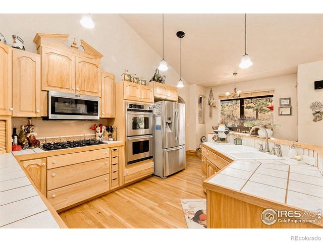 98 Deadhorse Mountain Court, Livermore, CO 80536