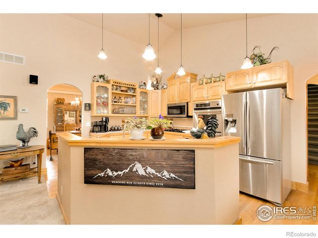 98 Deadhorse Mountain Court, Livermore, CO 80536