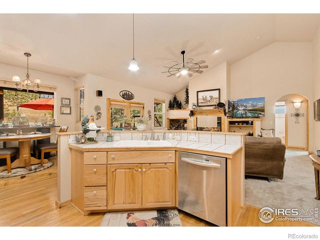 98 Deadhorse Mountain Court, Livermore, CO 80536