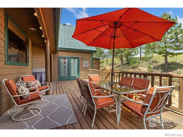 98 Deadhorse Mountain Court, Livermore, CO 80536