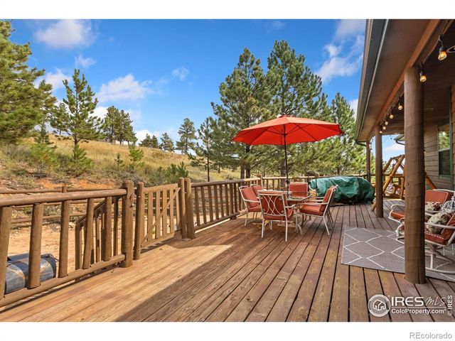 98 Deadhorse Mountain Court, Livermore, CO 80536