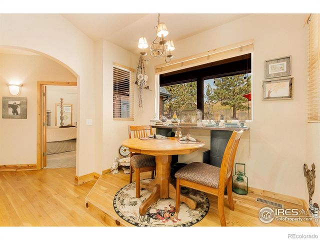 98 Deadhorse Mountain Court, Livermore, CO 80536