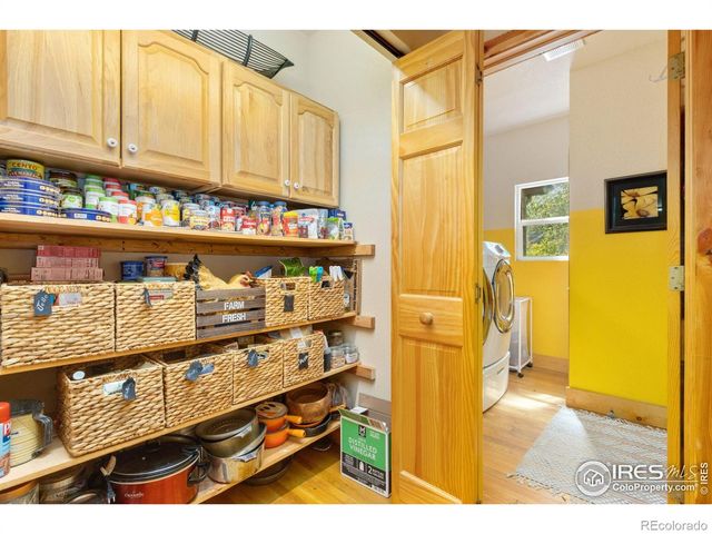 98 Deadhorse Mountain Court, Livermore, CO 80536