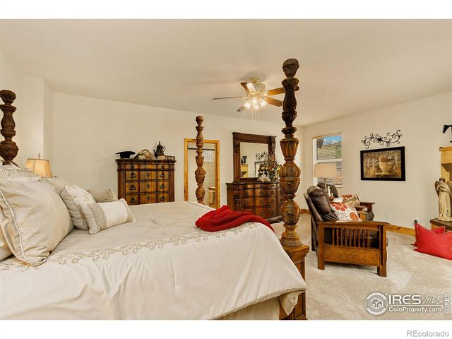 98 Deadhorse Mountain Court, Livermore, CO 80536