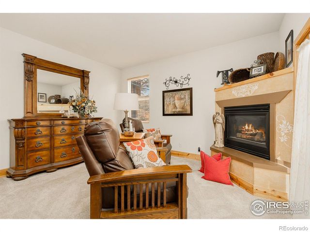 98 Deadhorse Mountain Court, Livermore, CO 80536