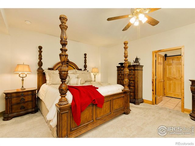 98 Deadhorse Mountain Court, Livermore, CO 80536